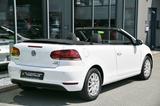 Volkswagen Golf Cabrio 1.2 TSI BMT Sitzheizung* Tempo* 16" - Volkswagen aus 2012: Cabrio