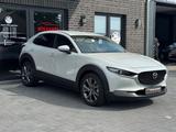 Mazda CX-30 Takumi 2WD*HUD*PDC*LEDER*LED*KAM*1HAND* - Mazda CX-30 Takumi mit Hybrid-Antrieb (Benzin/Elektro)