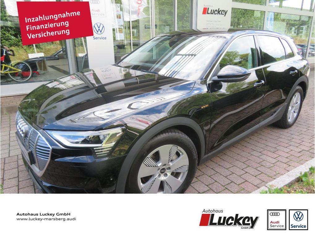 AUDI e-tron 50 Quattro LED Rückfahrkamera (Fahrzeug-Nummer 436584642)