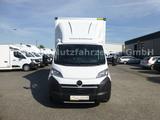Opel Movano Möbelkoffer Koffer Premium - 8x4