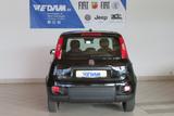 Fiat Panda Pandina 1.0 Hybrid *CityPaket* - Fiat Panda: Pandina