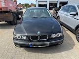 BMW E39 523i, Automatik, Aspensilber - BMW 523: 523i E39