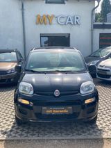 Fiat Panda Easy - Fiat Panda aus 2019