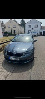 Skoda Octavia 2.0 TDI 110kW DSG AMBITION COMBI AMB... - Skoda Octavia mit Diesel-Antrieb: Grün