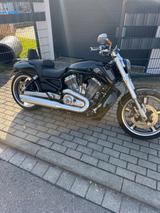 Harley-Davidson V-Rod Muscle  - HARLEY-DAVIDSON V ROD MUSCLE