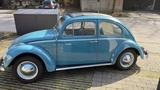 Volkswagen VW Käfer 1200 Faltdach H-Zulassung - Volkswagen Käfer Gebrauchtwagen