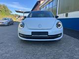 Volkswagen Beetle Lim. Exclusive Design BMT - Volkswagen Beetle: Exclusive Design