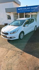 Kia ANDERE Ceed Edition 7 - Kia Gebrauchtwagen in Hamm
