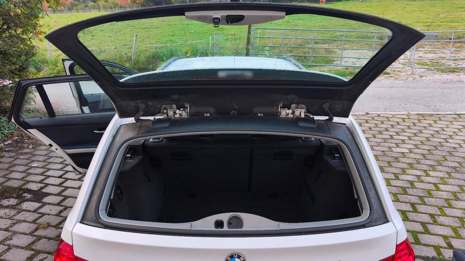 BMW 318 2010 — photo 8