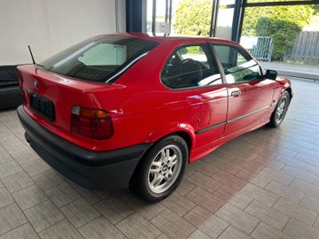 BMW 316 - 6