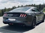 Ford Mustang GT 5.0 V8  - Ford Mustang Gebrauchtwagen in Düsseldorf