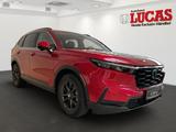 Honda CR-V e:HEV Elegance 2WD 299,-€ RATE - Honda CR-V in Duisburg