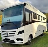Morelo Loft Liner 100 GQ