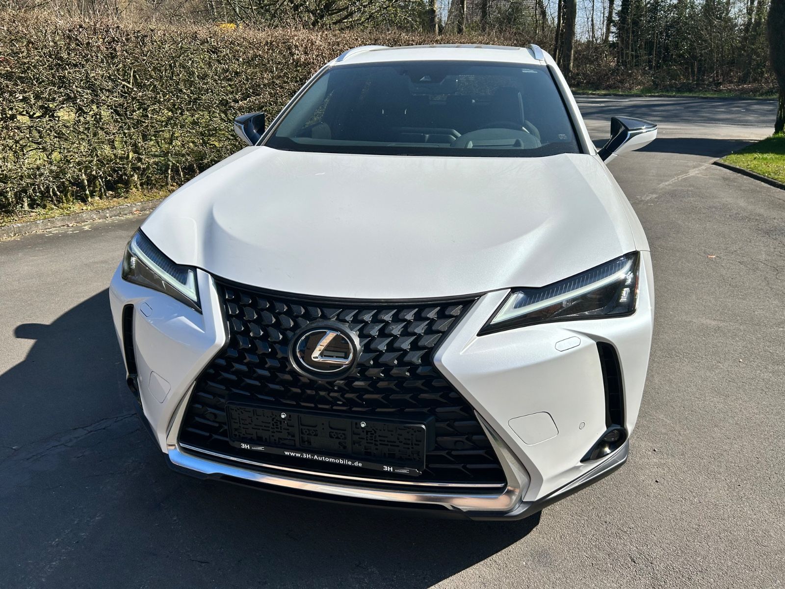 LEXUS UX