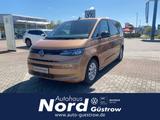 Volkswagen Multivan Basis-Modell 1.4 TSI eHybrid DSG PDC Ca - : Braun, Plug-In Hybrid, Van