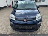 Fiat Panda Easy - gebrauchte Fiat Panda aus dem Jahr 2019