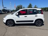 Fiat Panda 1.0 Hybrid City Life - Fiat Panda in Chemnitz