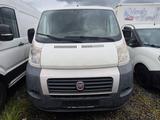Fiat Ducato Kasten L1H1  aus 1 Hand - gebrauchte Fiat Ducato aus dem Jahr 2011