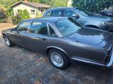 Jaguar XJ 40 H Kennzeichen 4 Liter - Jaguar XJ40 von privat