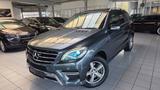 Mercedes-Benz ML 350CDI"AMG"AHK+PANO+LEDER+LED+STANDHZ+105TKM! - Mercedes-Benz ML 350: Cdi AMG