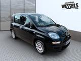 Fiat Panda Urban - gebrauchte Fiat Panda aus dem Jahr 2021