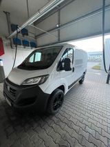 Fiat Ducato mit lagerschaden/Motorschaden - mit Diesel-Antrieb: Motorschaden