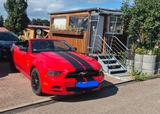 Ford Mustang Cabrio - gebrauchte Ford Mustang aus dem Jahr 2014
