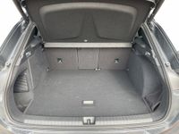 Cupra Terramar - Vorschau Bild 11