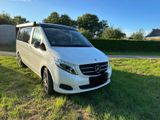 Mercedes-Benz V-250d Marco Polo Edition*AMG*Küche*Ambiente*AHK - Mercedes-Benz 250: 250e