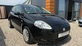 Fiat Punto 1.4 8V Active-4/5Trg-Klima Top Zustand - Fiat Punto: 1.4
