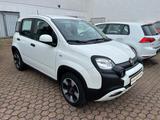 Fiat Panda 1.0 GSE Hybrid City Plus - weiße Fiat New Panda