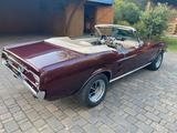 Ford Mustang Cabrio 390ci V8 Big Block S-Code - Ford Mustang aus 1967: Cabrio