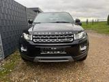 Land Rover Range Rover Evoque 2.2 TD4 Leder Navi AHK - gebrauchte Land Rover Range Rover Evoque aus dem Jahr 2015