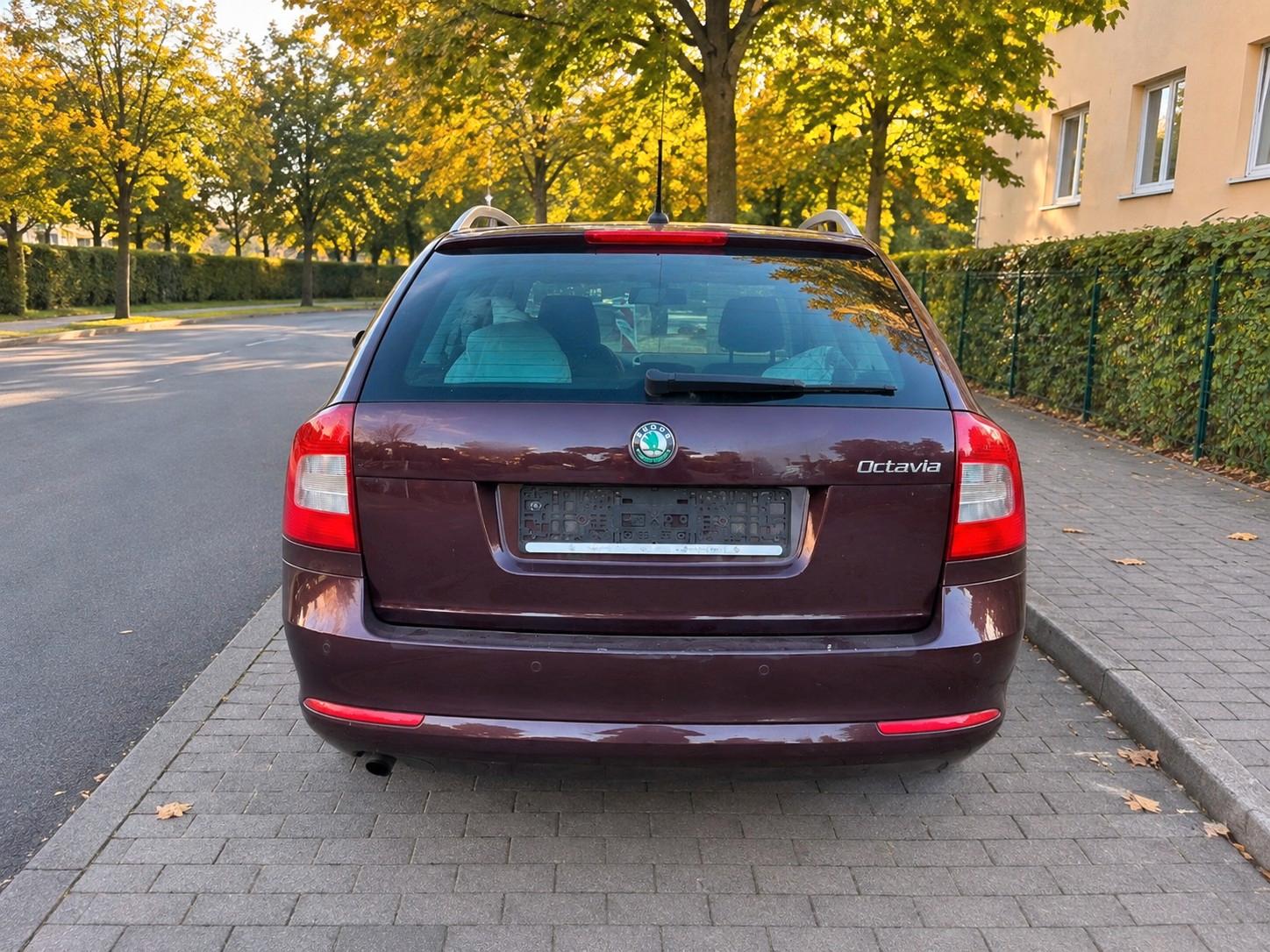 Skoda Octavia 2013 — photo 8
