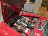 Volvo P1800ES top-restauriert  - Volvo: Kombi, P1800