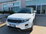 Land Rover Range Evoque 2.2 TD4 5p. Pure Tech Pa - Land Rover Range Rover Evoque Geländewagen Td4 pure mit Diesel-Antrieb