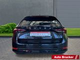 Skoda Octavia Combi First Edition 2.0 TDI+DSG+LED+AHK+ - Skoda Vorführfahrzeuge