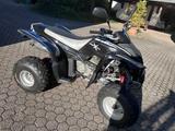 Adly 300S (II) - ADLY QUAD