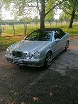 Mercedes-Benz Mercedes Cabrio CLK W208 Kompressor  193PS... - Mercedes-Benz 200: Cabrio, Clk
