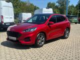 Ford Kuga ST-Line X Panorama Technologie Paket Winter - Ford Kuga Jahreswagen