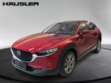 Mazda CX-30 Selection 2.0 Leder Kamera Schiebedach LED - Mazda CX-30 aus 2023