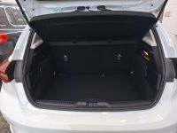 Ford Focus - Vorschau Bild 12