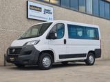 Fiat Ducato 2.3 MJT 140CV 9 posti - Fiat Ducato: 1.9