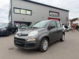 Fiat Panda Easy - graue Fiat Panda