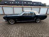 Ford Mustang - gebrauchte Ford Mustang aus dem Jahr 1964