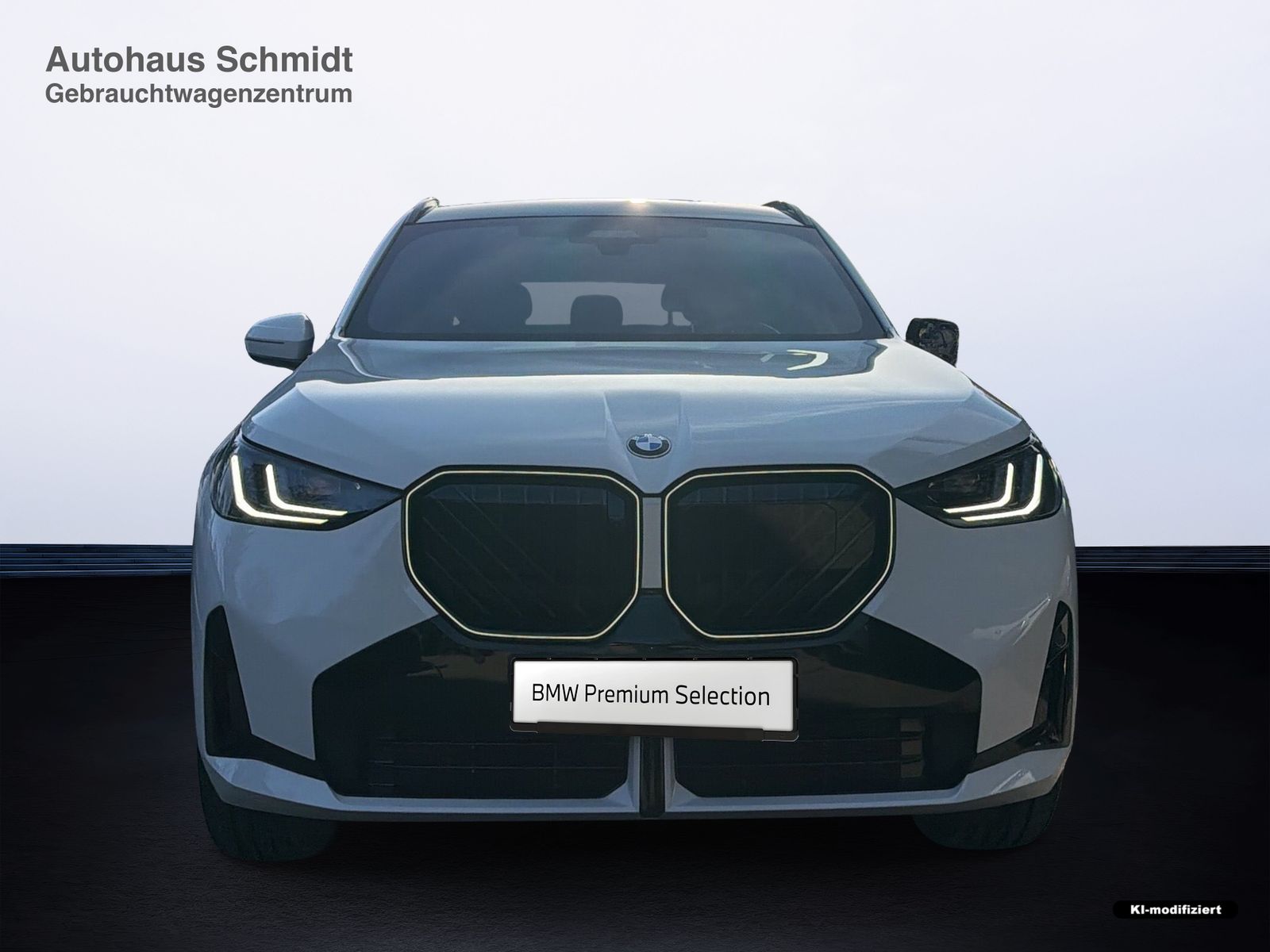 BMW X3 - Bild 6