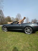 Chevrolet Camaro 6.2 V8 AT - Cabrio  - Chevrolet Camaro mit Benzin-Antrieb: Cabrio