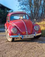 Volkswagen wunderschöner Käfer, Motor NEU - VW Käfer Gebrauchtwagen in Dortmund