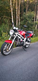 Suzuki SV 650 - Angebote