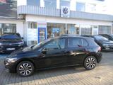 Volkswagen Golf VIII Lim. Active 1,5 TSI 6 GANG KAMERA - Volkswagen Golf mit Benzin-Antrieb: 1.6